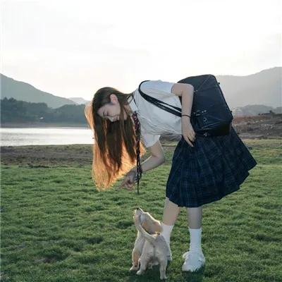 妙探双龙